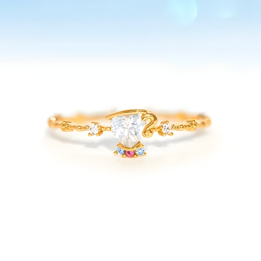 Anillo CHIP