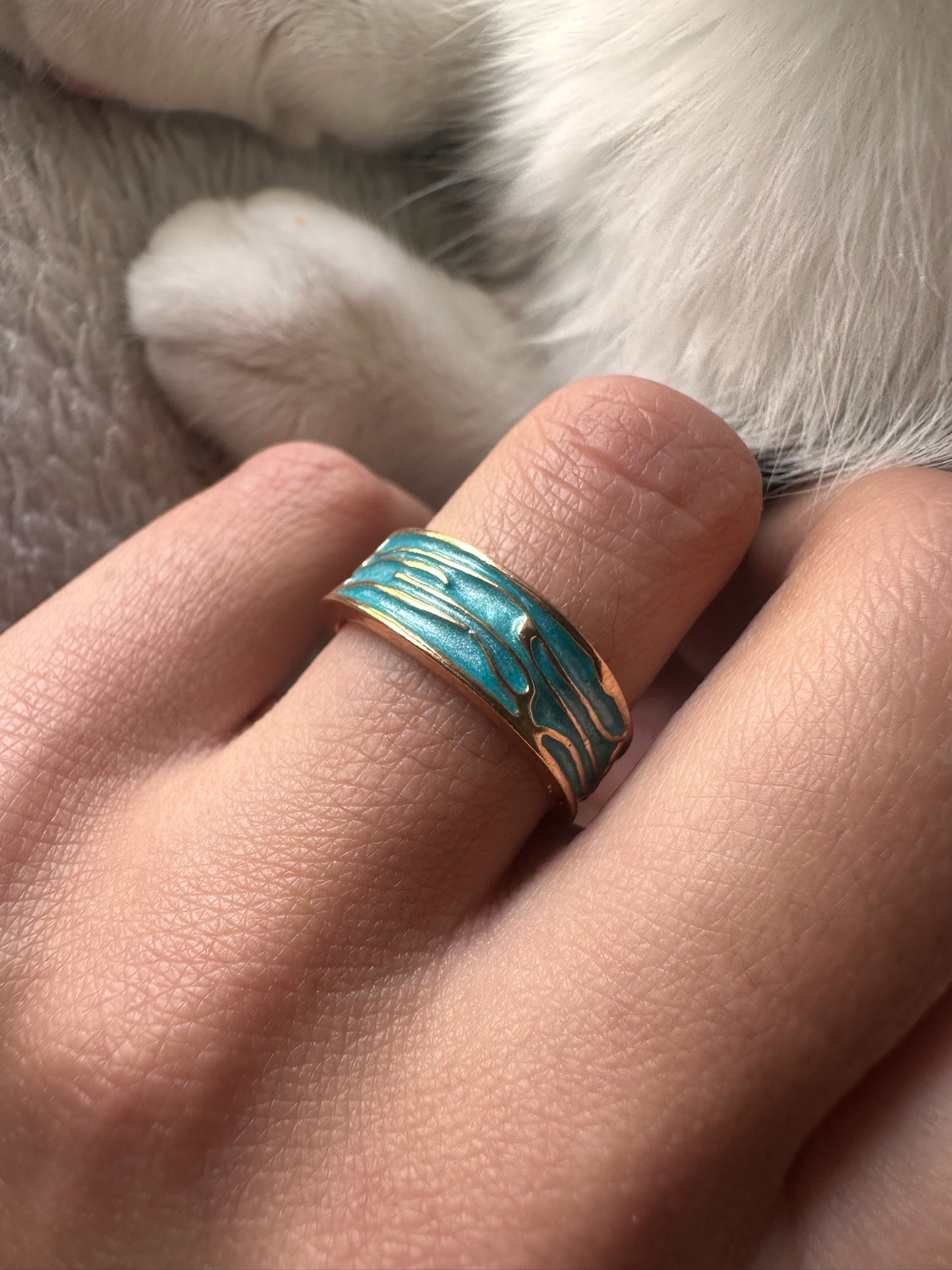 Anillo CLEO
