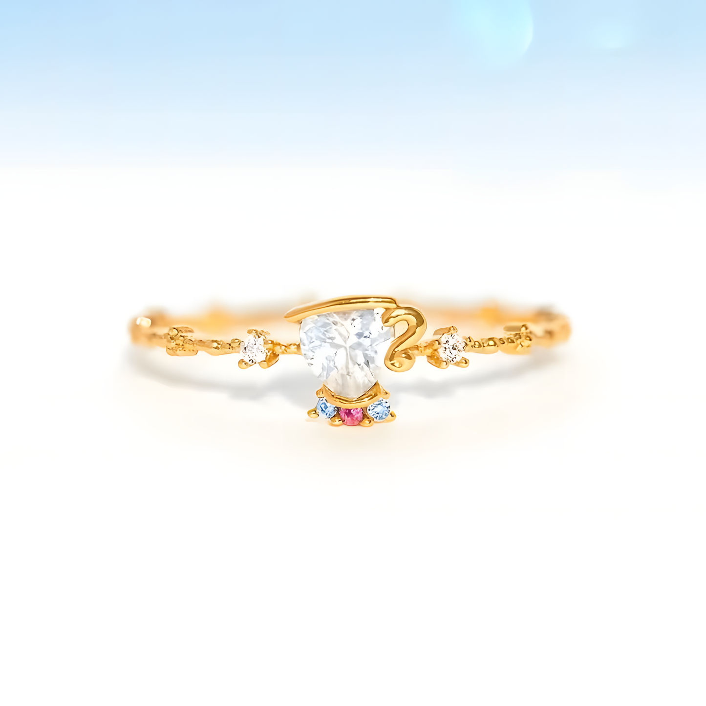 Anillo CHIP